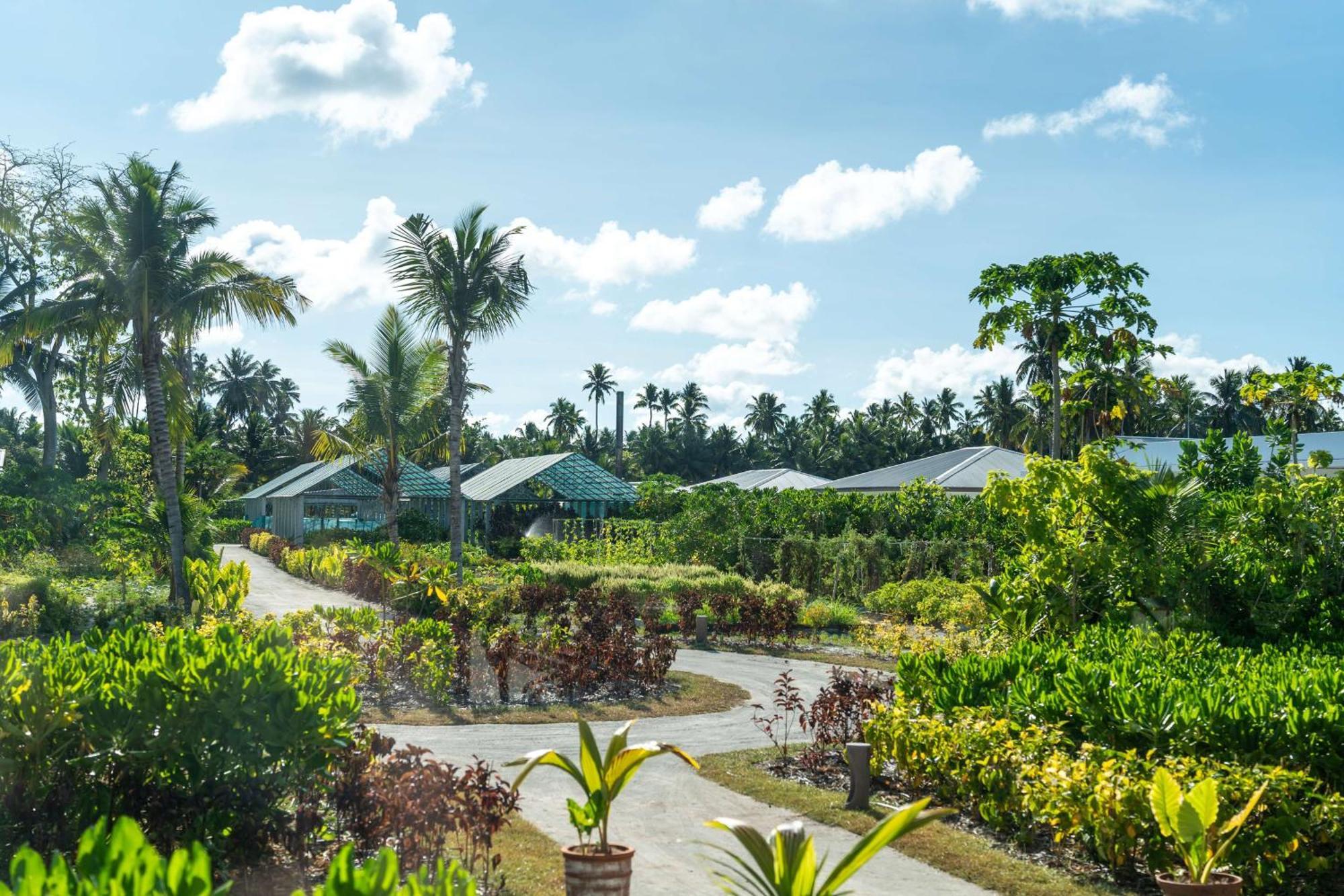 Hotel Waldorf Astoria Seychelles Platte Island Zewnętrze zdjęcie